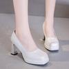 2026 Heels Women Pumps Shoes Platform Wedding Office Party Shoes Woman Sexy High Heels Wedding Shoes Ladies