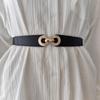 Stylish Women's Elastic Waist Belt For Dresses Versatile Fashion Accessory In Black And Brown