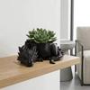 3D Printed Dragon Shaped Plant Pot Creative Animals Flower Pot Jewelry Storage Tray  Desktop Decor