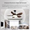 Oeny Ceiling Fan Light