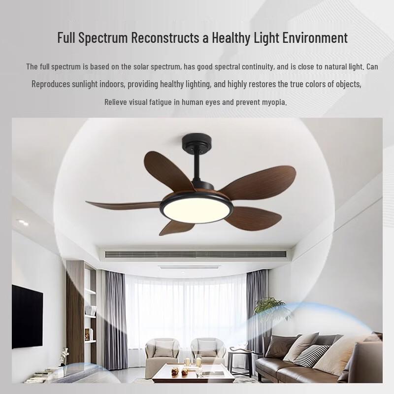Oeny Ceiling Fan Light