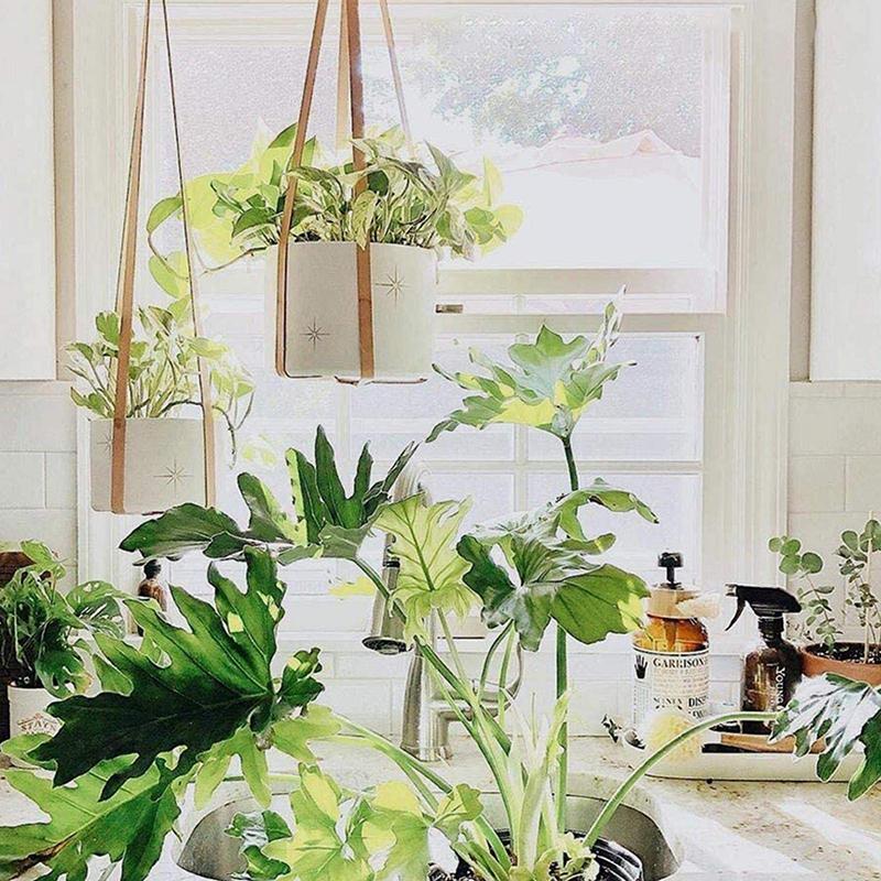 New Simple Leather Hanging Flower Pot Basket Indoor And Outdoor Plant Hanging Basket Tray Green Plant Hanging Pot Hanging Basket