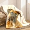 Cozy Boxer Dog Flannel Blanket - Soft Polyester Realistic Brown Boxer Puppy Print All-Season Warmth & Contemporary Pet Lover Gift