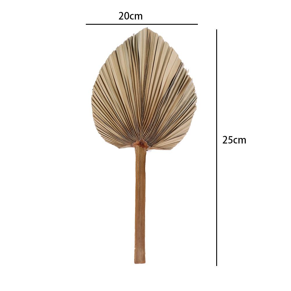 Home Party Boho Tropical Trimmed Bohemian Leaves Palm Spears Fan Leaf Dried Plant