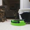 Cat Toy Turntable Roller Mouse Fully Automatic Cat Teasing Interactive Toy Running Along The Track Spinning Wheel Toy Intelligen