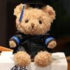 Doctor Graduation Teddy Bear Plush Toy with Hat, Customizable Logo