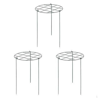 3 Piezas de Jaulas y Soportes para Peonías Enrejado Trepador Soportes Portátiles de Metal Resistentes Estacas de Soporte para Plantas de Jardín