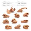 Highquality Dinosaur Realistic Skull Model For Childrens Development Cognitive