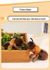 Adorable Sleepy Ant Plush Toy - Soothing Stuffed Animal Doll for Kindergarten