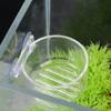 Hrănitor Mușchi Animal Decor Acvariu Recipient Plantă Mini Vază Grădinărit Vază Transparentă Raft Hrănă Cupă Acrilică Cupă Apă Iarbă