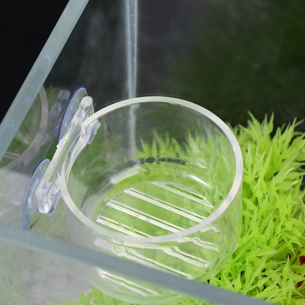 Hrănitor Mușchi Animal Decor Acvariu Recipient Plantă Mini Vază Grădinărit Vază Transparentă Raft Hrănă Cupă Acrilică Cupă Apă Iarbă