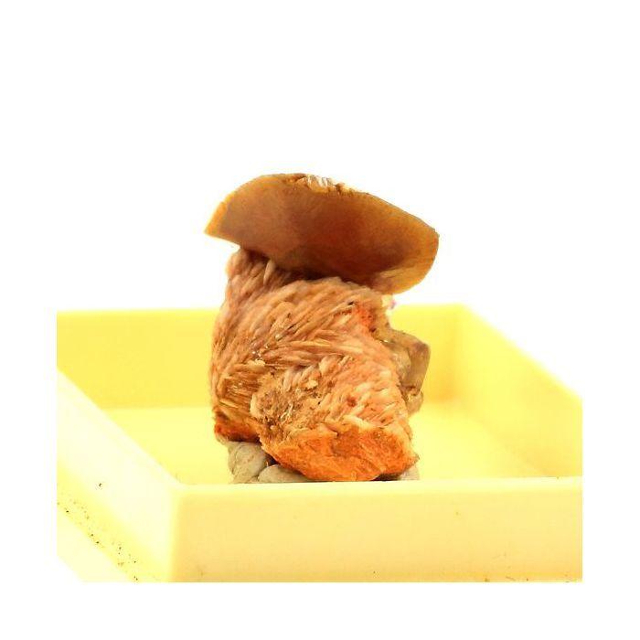 Pierres et Minéraux. Wulfenite. 31.0 ct. Lantignié, Rhône, France..