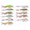 Rapala X‑Rap 100 mm 13 g - Leurre suspending Slashbait holographique pour carnassiers