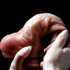 8.5inch Realistic Penis for Women Sliding Foreskin Dildo Suction Cup Dildos Female Masturbator Big Dick Adult Anal Sex Toys Shop