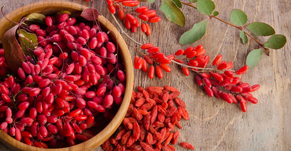 15 GOJI-BEEREN "CA. 300 Samen Wir versenden die getrockneten Beeren - FRISCHE SAMEN