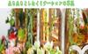 YIIEL Miniature Dollhouse Kit, Handmade Kit with Beginner's Instructions (Sunshine Glass Flower House)