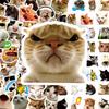 100Pcs Funny Cat Meme Stickers Cute Kitten Expression Decals Waterproof For Notebook Journal Decor LanLanStickersWorld Store