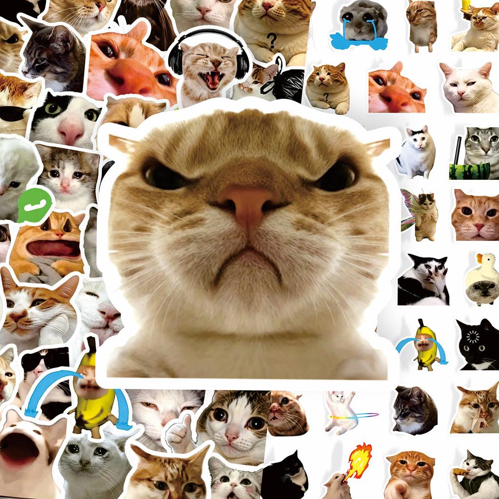 100Pcs Funny Cat Meme Stickers Cute Kitten Expression Decals Waterproof For Notebook Journal Decor LanLanStickersWorld Store