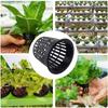 Hydroponic Planting Basket, Soilless Cultivation 3-Inch Seedling Cup, Plastic Mesh Pot for Vegetables, Herbs, and Garden Seedlings