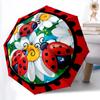 Accesorii – Umbrele