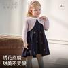 David Bella Children's Sweater Dress Spring Dress Girls' Princess Dress Fake Two Skirts
