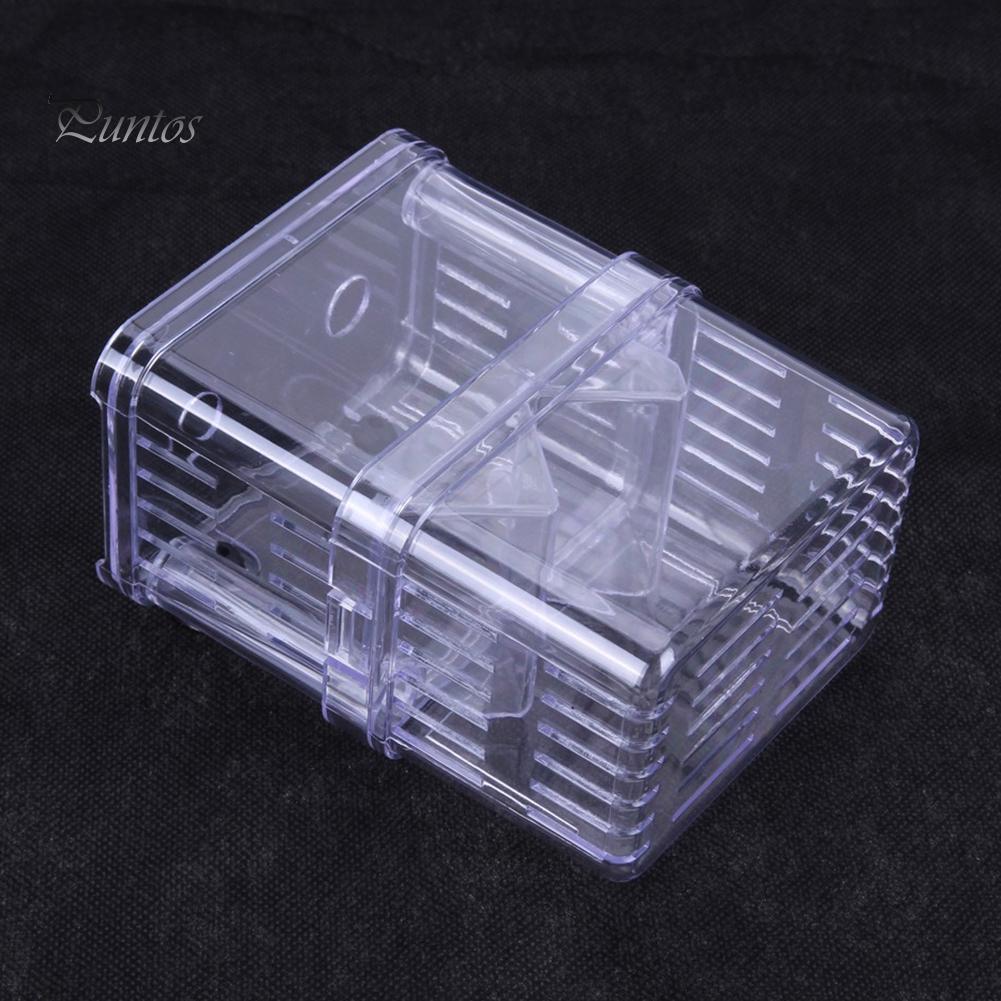 Akryl Transparent Dobbeltlags Aquarium Fish Breeding Isolation Box Incubator