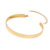 Fashion Exaggerated Punk Hip Hop Collar Personality Design Sense Sexy Necklace Collarbone Chain Hipster Street Auction Collar