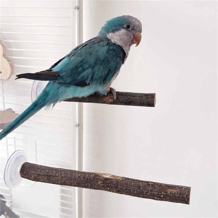 3pack Portable Parakeets Grinding Stick Training Toy Strong Suction Cup Bird for Small to Medium