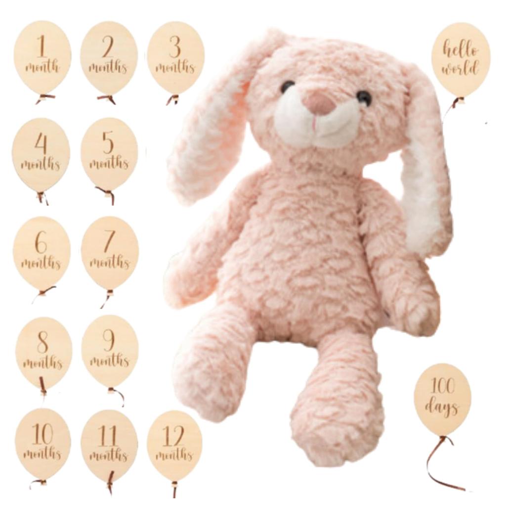MIHI Plush Wooden Monthly Card Set Food Sanitation Law First Letter Monthly Baby Newborn Photo (Balloon Shape) [Authentic, Compliant] Animal, Fluffy,
