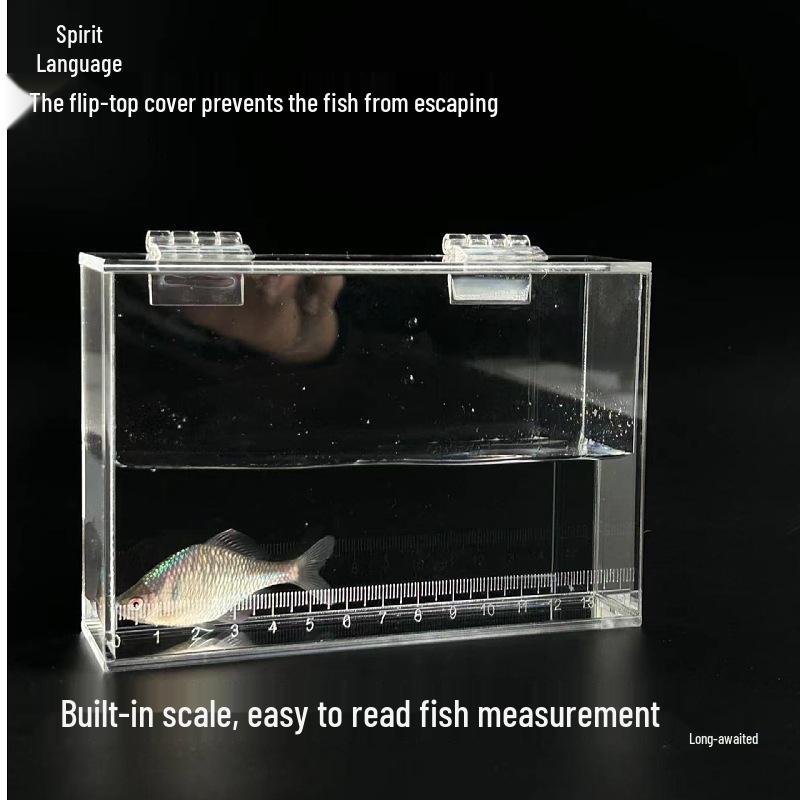 Acrylic Fish Observation Box with Scale and Lid - Portable Transparent Photography Container