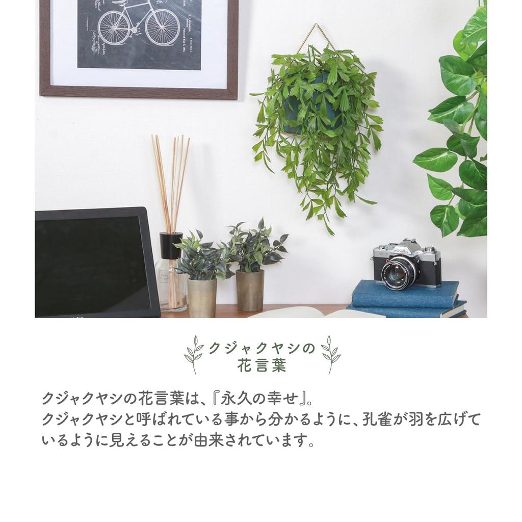 Fuji Boeki Fake Greenery, Artificial Houseplant, Peacock Palm, 26cm Wide X 20cm Deep X 32cm High, Hanging Pot, 41124