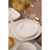 Bone V-form 27 Piece Dinner Set Angelica