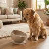 Suction Cups Silicone Pet Bowl Neck Protection Elevated Feeder Portable Dog Food Bowl  Pet Dining