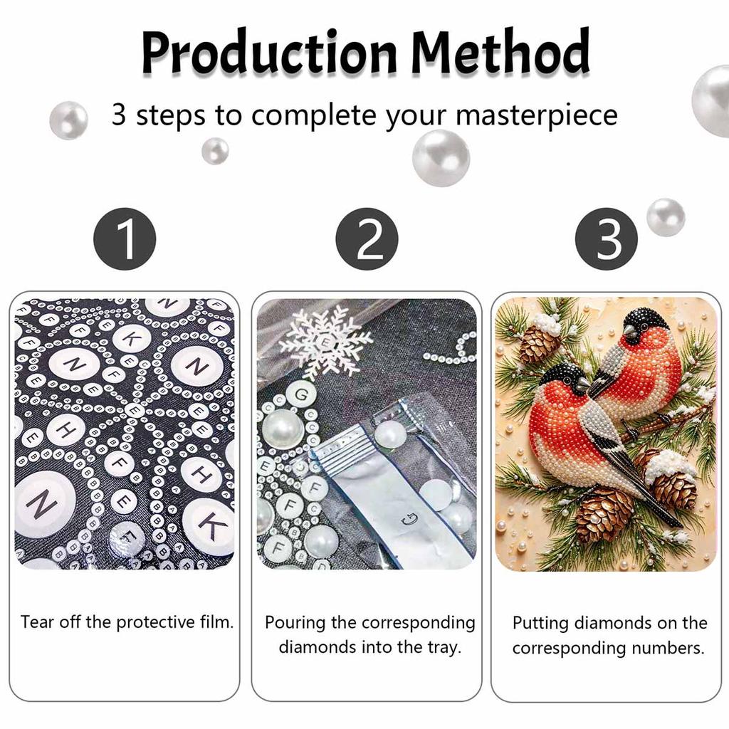 DIY Pearl Bead Painting Kit Winter Birds Festive Stress Relief Craft Frameless 3D Canvas Art for Adults Home Decoration Gift