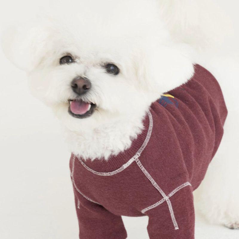 Sweatshirt graphique CROOKTHECHIHUAHUA Logo - dahlia rouge