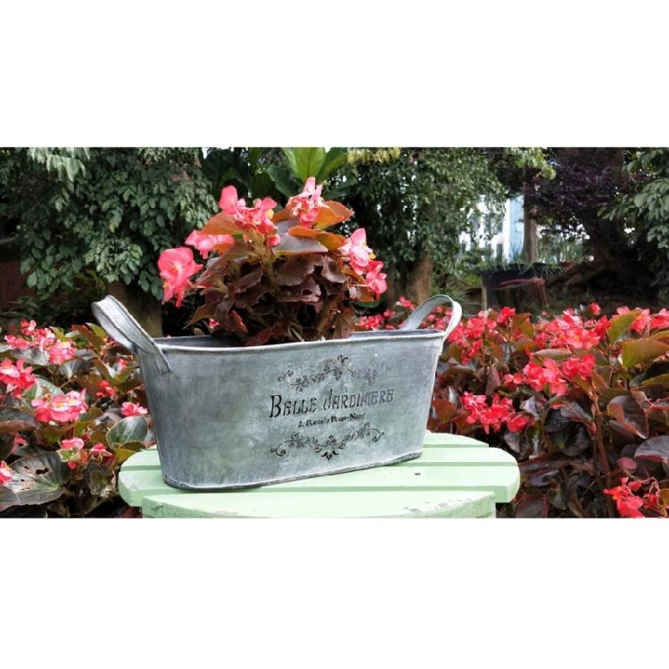 Blumentopf Pflanzgefäß Eimer Metallkübel Blumentöpfe Hochbeete Bauernhaus Pflanzkübel Gartenpflanzer