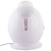 K·SKIN KD233 Nano Hot Spray Facial Steamer