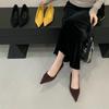 Single Shoes Women's 2025 New Spring and Autumn Versatile Commute 5cm Shallow Mouth Small Heels French Pointed Stiletto, High Heels
