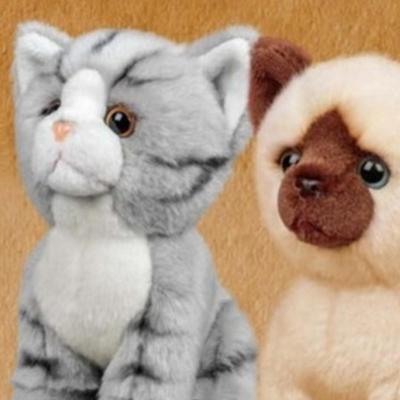[Anamigos] Poupée Animal Ami Bébé Chat Siamois/Mouton/Écureuil/Lion/Chien du Royaume-Uni, 19cm