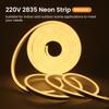 220V Neon Light Flex LED Strip SMD2835 120Leds/m Waterproof Garden Lighting Neon Ribbon Warm Cool White Flexible Neon Sign