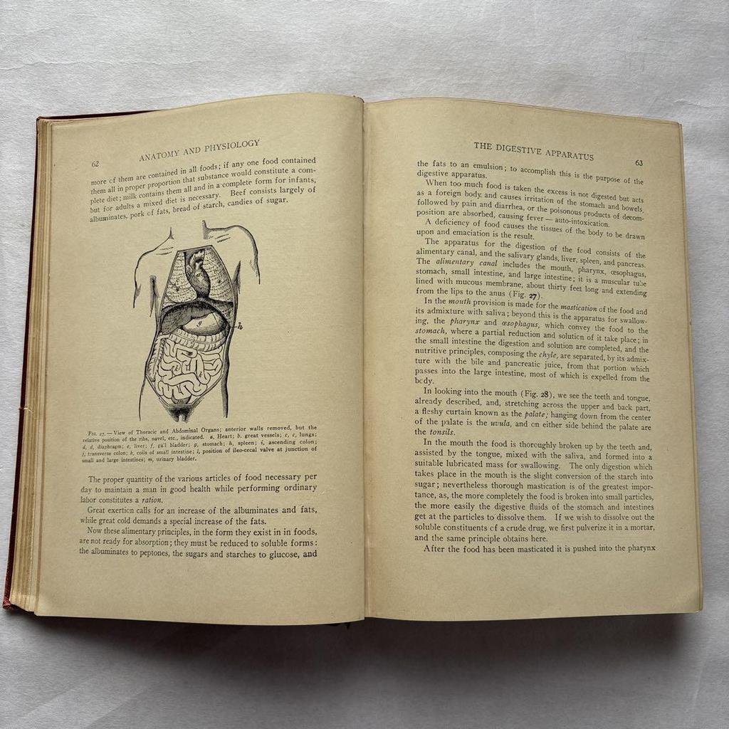 [USED] Complete Handbook for the U.S. Army, Navy Medical Corps, National Guard, and Navy Militia