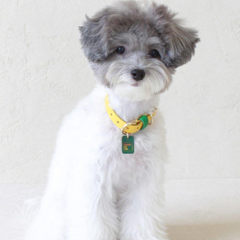 MAISON DE MIU Petsnal Color Leash Yellow/Green