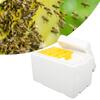 Foam Queen Box Bee Mating Foam Beehive Queen Cage Mini Queen Rearing Boxes for Beekeeping