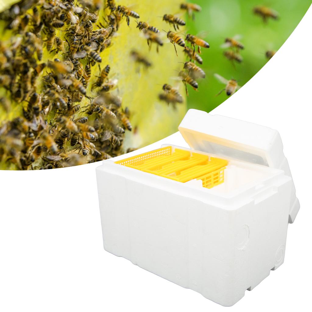 Foam Queen Box Bee Mating Foam Beehive Queen Cage Mini Queen Rearing Boxes for Beekeeping