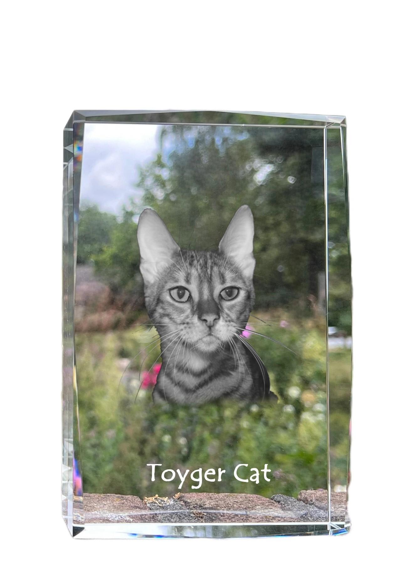 

Toyger - crystal with a picture of a cat, photo in glass, modern exhibition of Art-Dog brand photo прозорий