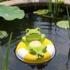 Floating Frog Ornament Resin Pond Decoration Outdoor Decor Compact for Aquarium