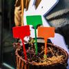 Înverzire şi amenajare – Decorațiuni pentru livadă