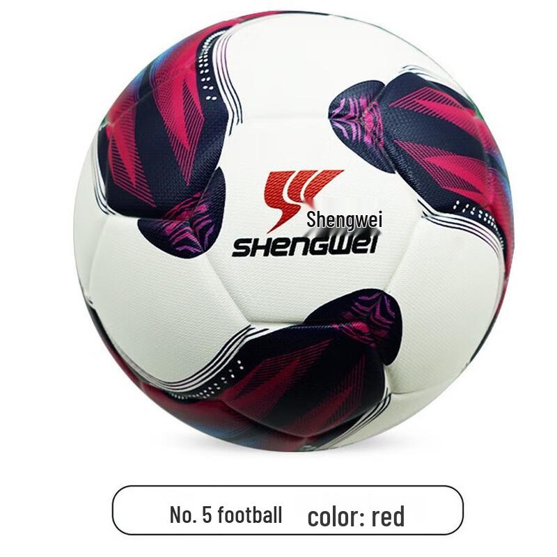 Longchan Size 5 PU Soccer Ball