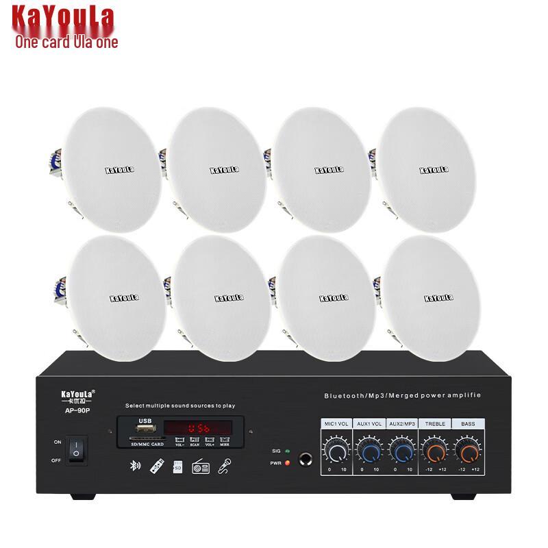 Kayuola Conference Audio Video System with 6.5-inch Ceiling Speakers (CN version)
