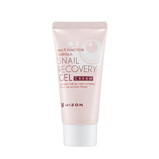 

Гель-Увлажняющий крем Mizon Snail Recovery Gel 45 мл